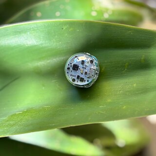 Roboteca_Ozobit Bit no jardim do Goethe-Institut