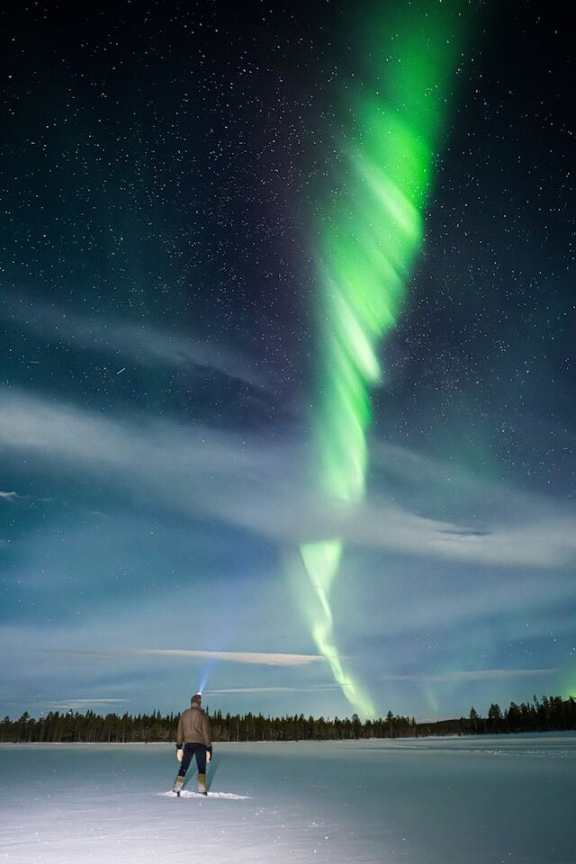 A person stands alone on a snowy field at night, shining a flashlight into the sky. Above them, vivid green and white Northern Lights stretch across a starry sky. A dark tree line marks the distant horizon.