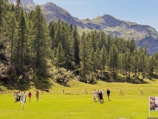 Jugendliche auf einer Wiese in den Alpen