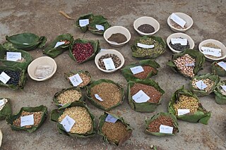 Araku Valley Study - Photo 1