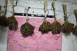 Araku Valley Study - Photo 2