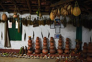 Araku Valley Study - Photo 3
