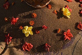 Araku Valley Study - Photo 4