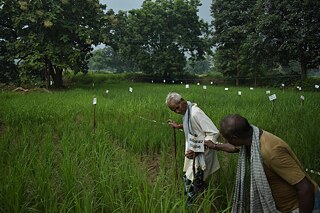 Devtarai Village_Kalp_Kasdol