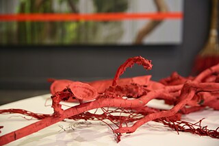 Eating the dead while you sleep, drinking the rain as you dream