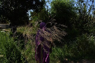 Chatarpur_Tikamgarh_Photo 2