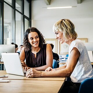 Two women in a counselling situation with a laptop.