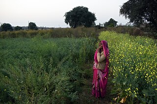 Panna District_Photo 4