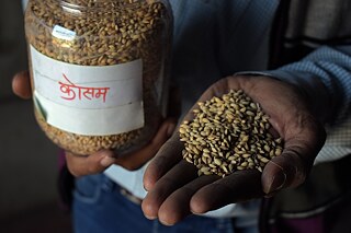 Panna District_Photo 2