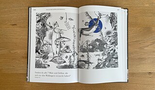 Bilderrätsel mit Walen