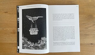 Ein Wal und der Korb eines Heißluftballons