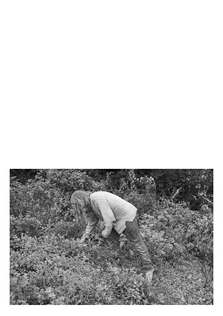 Königsfarm - Photo 1