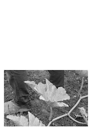 Königsfarm - Photo 2