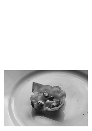 Königsfarm - Photo 3