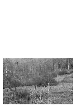 Königsfarm - Photo 8