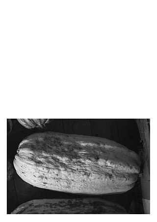 Königsfarm - Photo 9