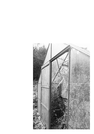 Königsfarm - Photo 11