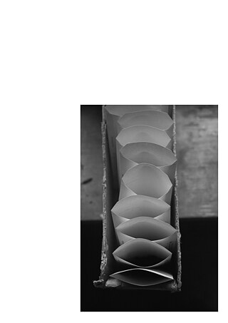 Königsfarm - Photo 12