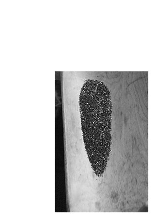 Königsfarm - Photo 13