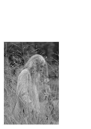 Königsfarm - Photo 14