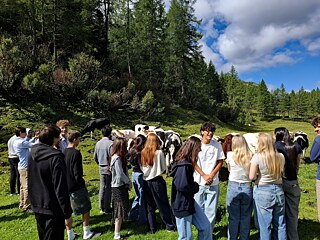 Jugendliche auf einer Wiese, im Hintergrund sind ein paar Kühe zu erahnen.