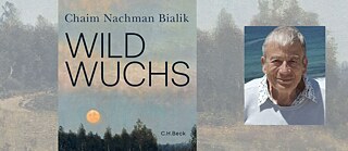 Buchcoverausschnitt Wildwuchs Ruth Achlama