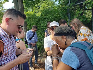 Bildung mit allen Sinnen: Besuch eines Schulgartens in Düsseldorf