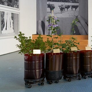 Artwork including plants in pots