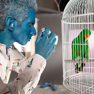  בן הגרי מצלם תכי