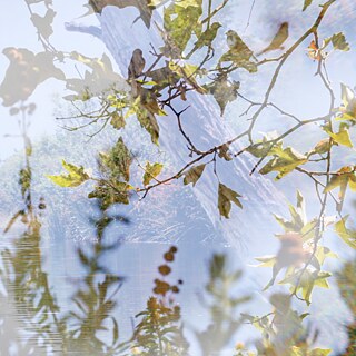 FILMS FOR CROSSROADS by Halina Kliem | Trees and Sky