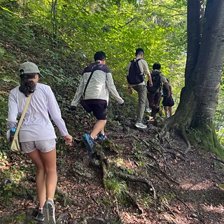 Jugendliche wandern in einem Wald.