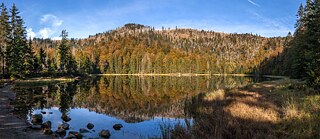 Panorama view of Lake Rachel.