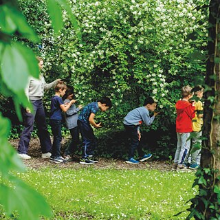 Kinder spazieren im Garten und riechen an Holdunderblüten am Baum