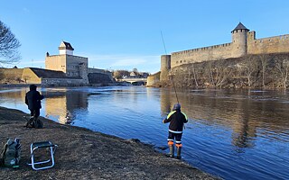 Vlevo je středověká Hermannova pevnost (estonsky Hermanni linnus) v estonské Narvě. Vpravo na ruském břehu řeky Narvy je středověká pevnost Ivangorod. Pouhých 135 kilometrů odtud leží Petrohrad, který je odtud blíže než Tallinn.