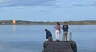 Lorenzo Rebediani, Vera Scaccabarozzi, Luca Trevisani und Francesca Verga