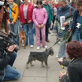 Nomeda & Gediminas Urbonas. Pro-test lab action "Dogs barking will not disturb the clouds", square in front of the cinema Lietuva, Vilnius, 2005.