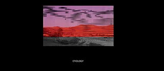 Künstlerisch verzerrte Wüstenlandschaft mit einem Palmenbaum im Vordergrund, roten Hügeln im Hintergrund und violettem Himmel mit horizontalen Linien. Schriftzug „ETIOLOGY“ am unteren Bildrand.