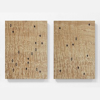 Diego Tonus Studio, Professional Secrets