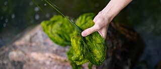 Guarding the Baltic Sear | Foto (Ausschnitt): © Kristi Leht
