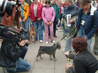 Nomeda & Gediminas Urbonas. Pro-test lab action "Dogs barking will not disturb the clouds", square in front of the cinema Lietuva, Vilnius, 2005. 
