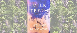 Bucheinband: Milchzähne