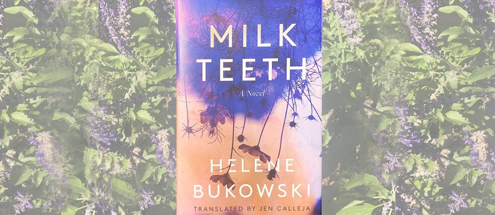 Bucheinband: Milchzähne