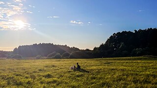 Сестра автора на лугу у озера в Онушкисе.