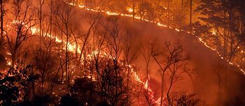 Raising gender issues in climate policy