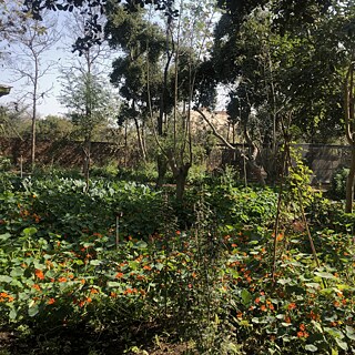 Farm8. © Rashmi Kaleka