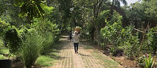 Farm8 © Rashmi Kaleka