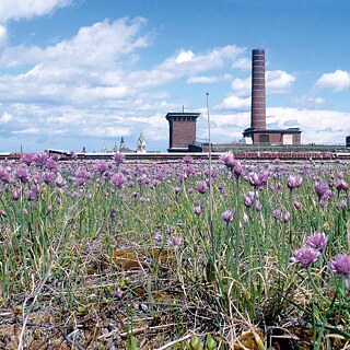 Kulturzentrum "Spinnerei" in Leipzig