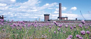 Leipziger Baumwollspinnerei