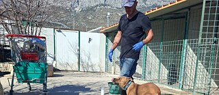 Roman im Hof des Tierheims