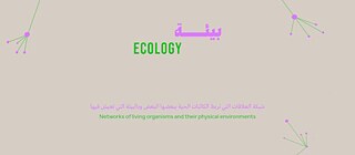 Ecologies of Culture